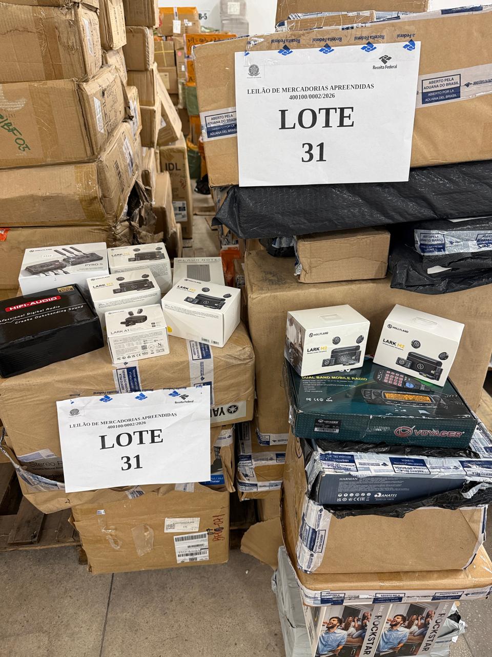 Lote 31