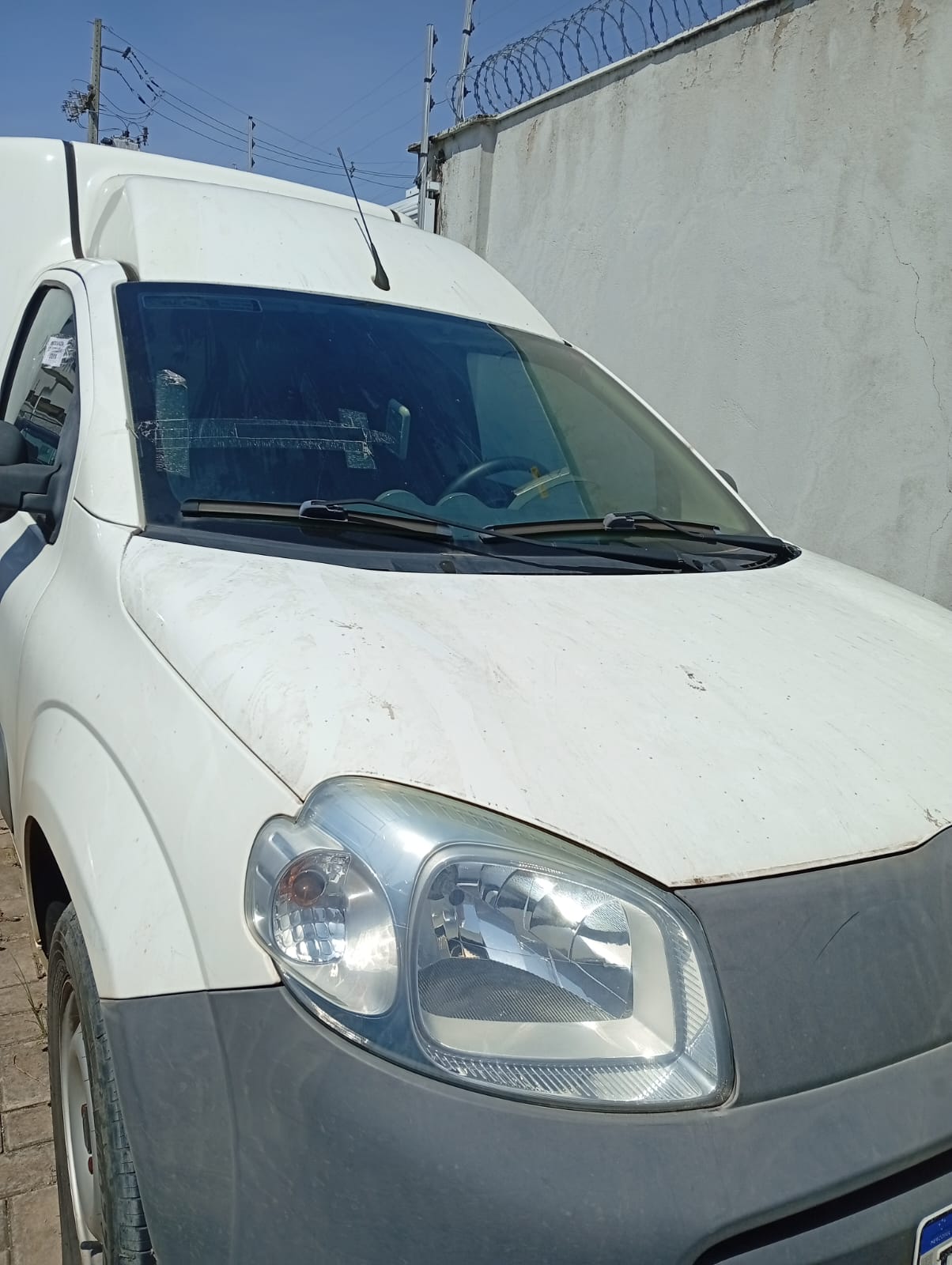 Lote 84
